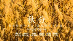 秋分丨晝夜分畫(huà)，漸入秋華
