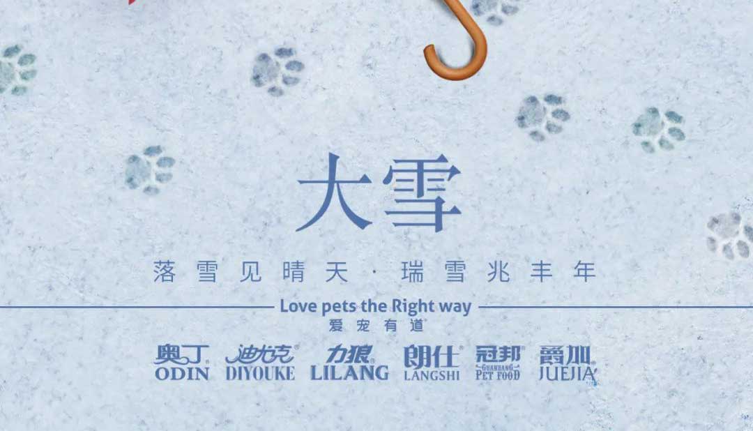 大雪丨雪落知寒意 久伴見(jiàn)初心！