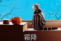 霜降丨縱然霜華盡染，心中美好如初