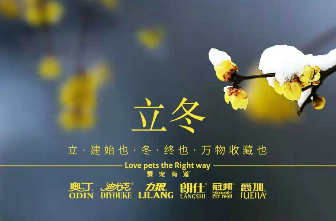 立冬丨冬寒初始，情暖愈濃