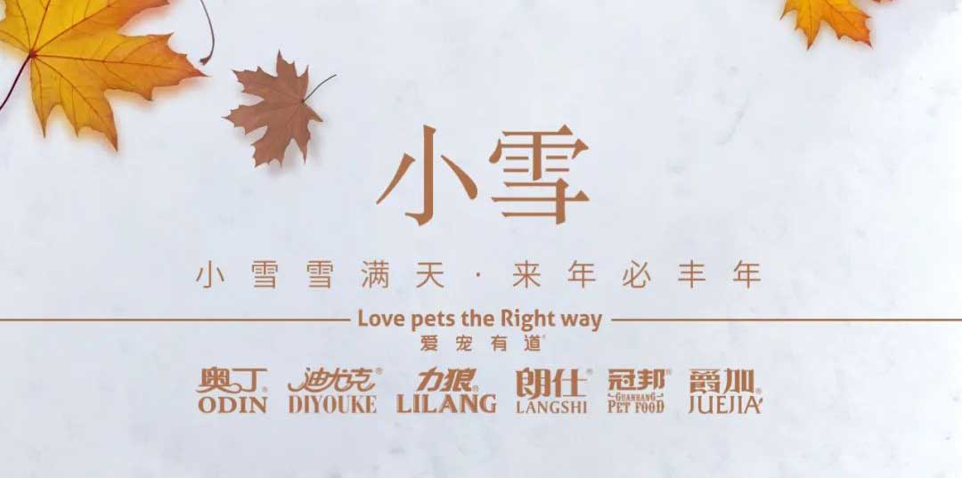 小雪丨天地初寒，歲月安暖
